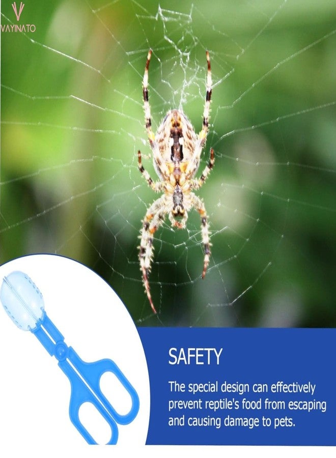 VAYINATO® 1pc Durable Plastic Reptile Feeding Clamps, Convenient Pet Feeding Clip for Breadworms and Insects for Tortoises, Lizards, Frogs, Spiders by Petzlifeworld - Image 5